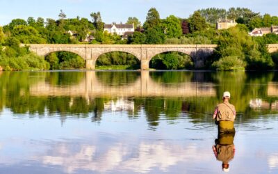 Estate Agents Kelso