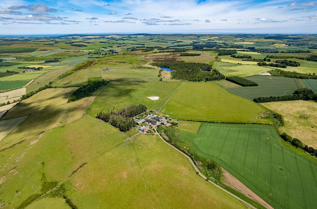 Estate Agents Wooler